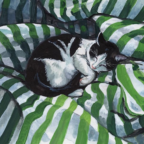 Slider - New Arrivals